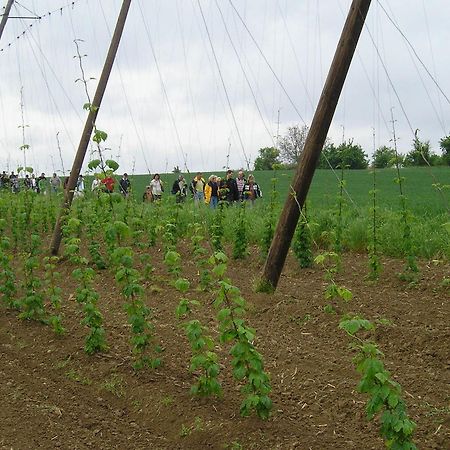 מלון Batzendorf A L'Etoile D'Or מראה חיצוני תמונה